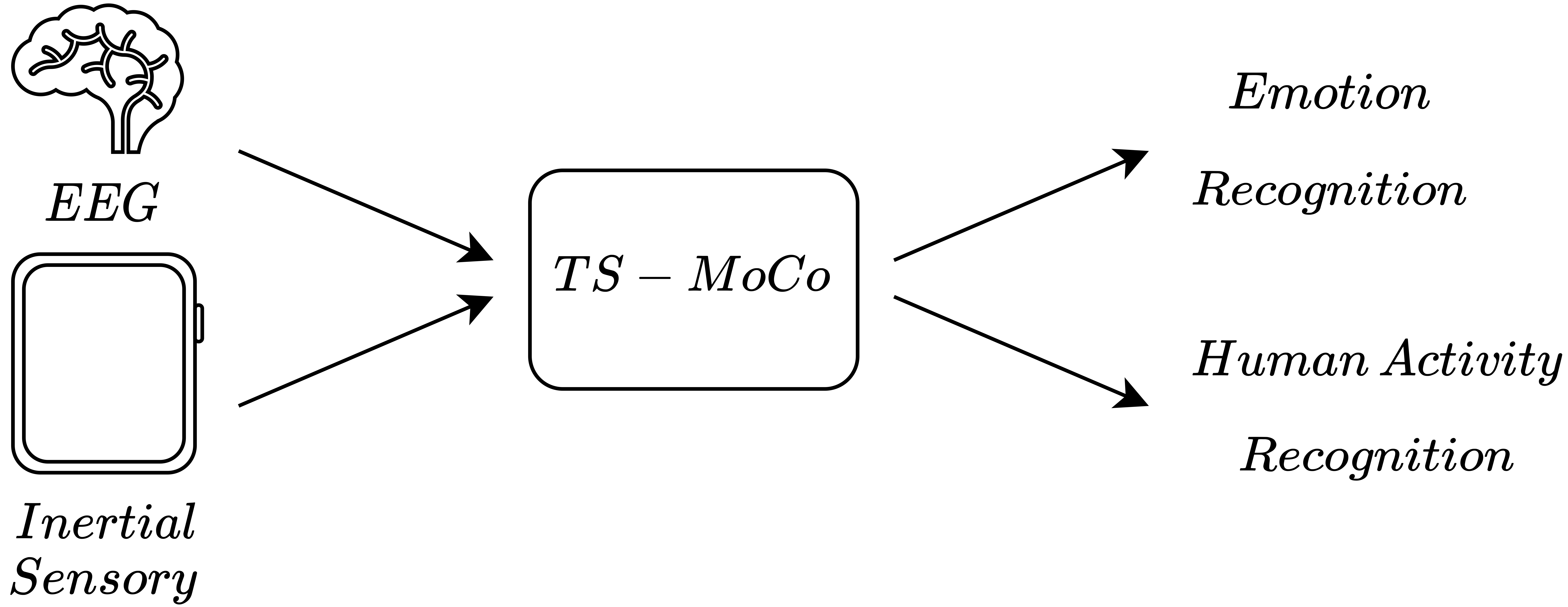 Publication Image